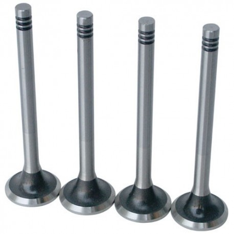 Supape admisie Dacia Logan 1.5 dci OSVAT