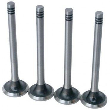 Supape evacuare Dacia Logan 1.6 16v Osvat