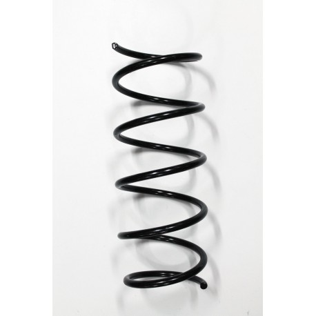 Arc spate Dacia Solenza