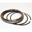 Set segmenti Dacia Logan Sandero Duster 1.4 Mpi 1.6mpi 7701474857