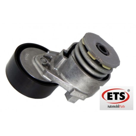 Rola curea accesorii Dacia Logan 7700102872, 8200403954 ETS