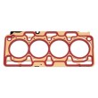Garnitura chiuloasa Dacia Logan 1.5 DCI E5