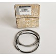 Segmenti Dacia Logan 1.5 DCI Renault 1buc