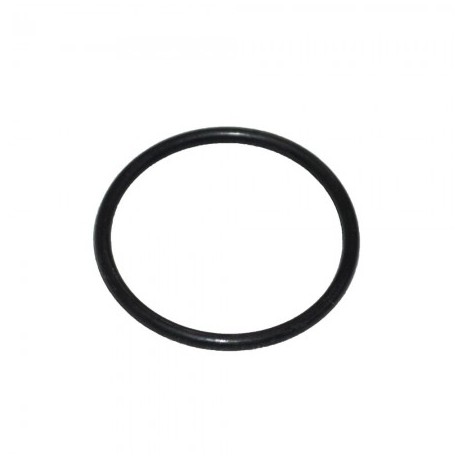 Garnitura O ring Dacia SuperNova 6001543035