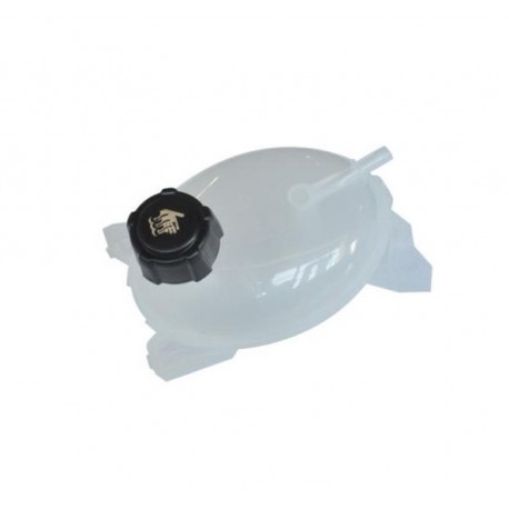 Vas expansiune Dacia Logan II Sandero II Dokker Lodgy Duster 217107259R