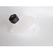 Vas expansiune Dacia Logan II Sandero II Dokker Lodgy Duster 217107259R